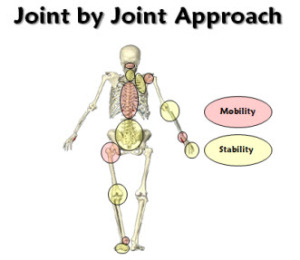 Image from http://nicktumminello.com/2014/01/the-joint-by-joint-approach-claims-vs-the-evidence/