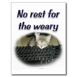 Ain't that the truth, adorable little kitty asleep on a keyboard.